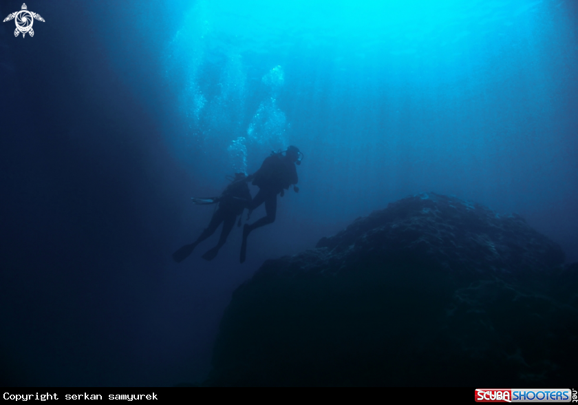 A diver
