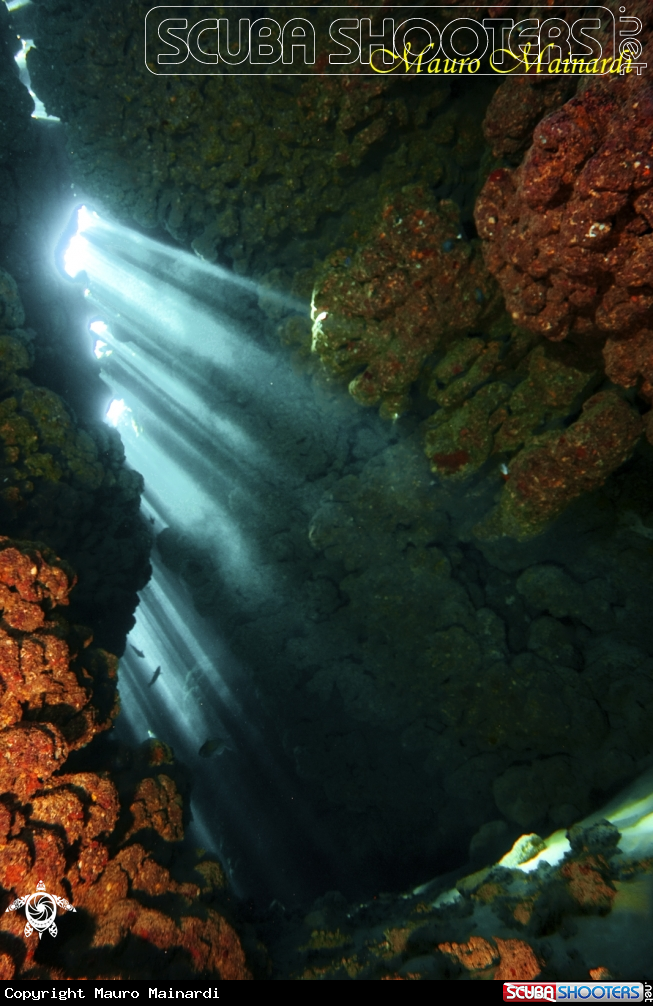 A Jackfish alley caves(Ras Mohammed)