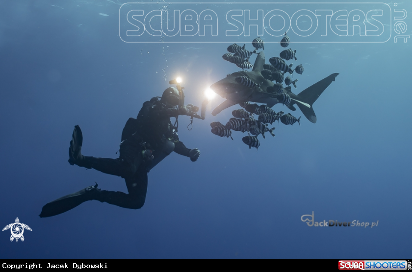 A Red Sea 27