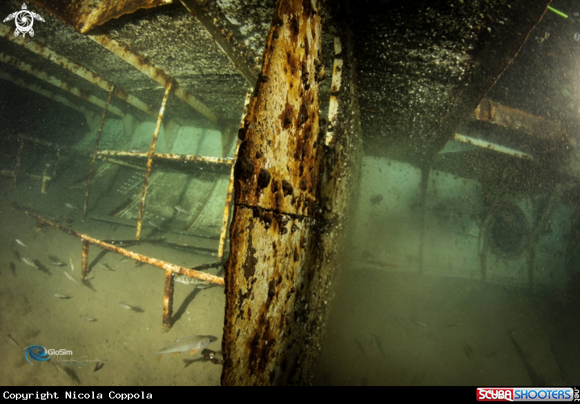 A ininside the berardi boat