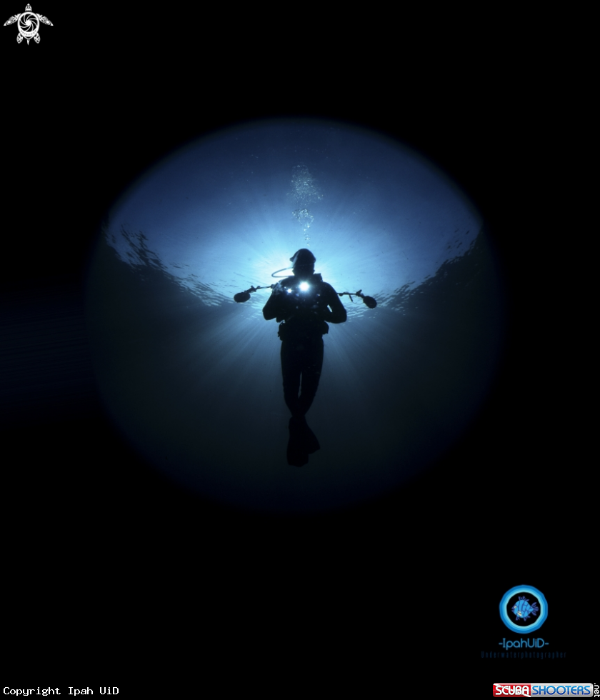 A HUMAN