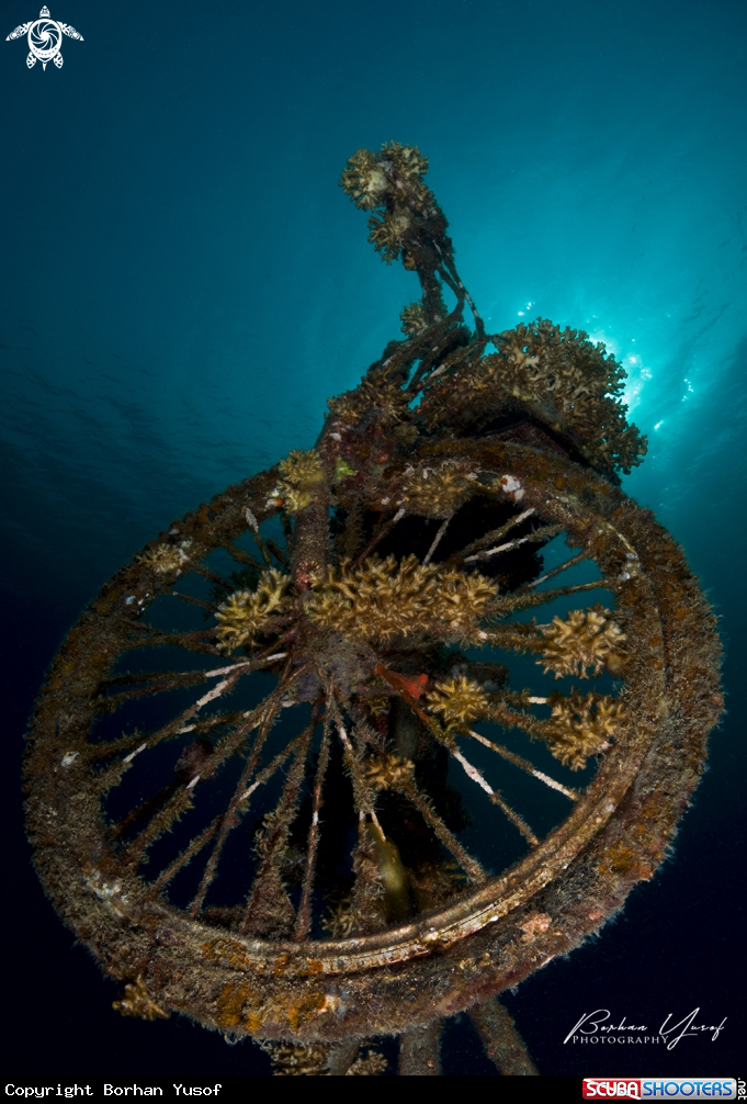 A Bicycle