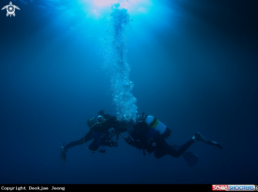 A diver