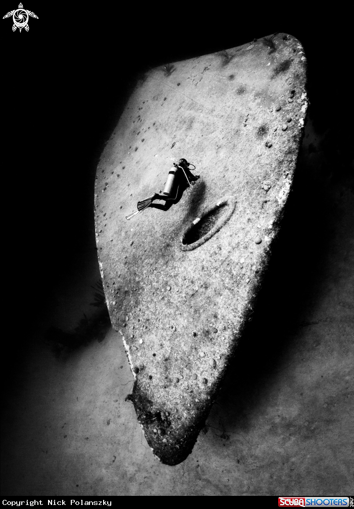 A Hilma Hooker Wreck