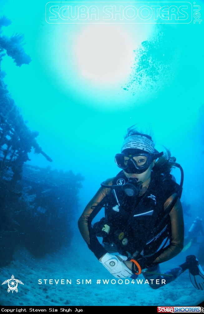 A Lenglui Diver 