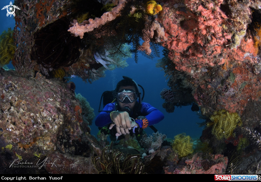 A Seascape of boulder and corals