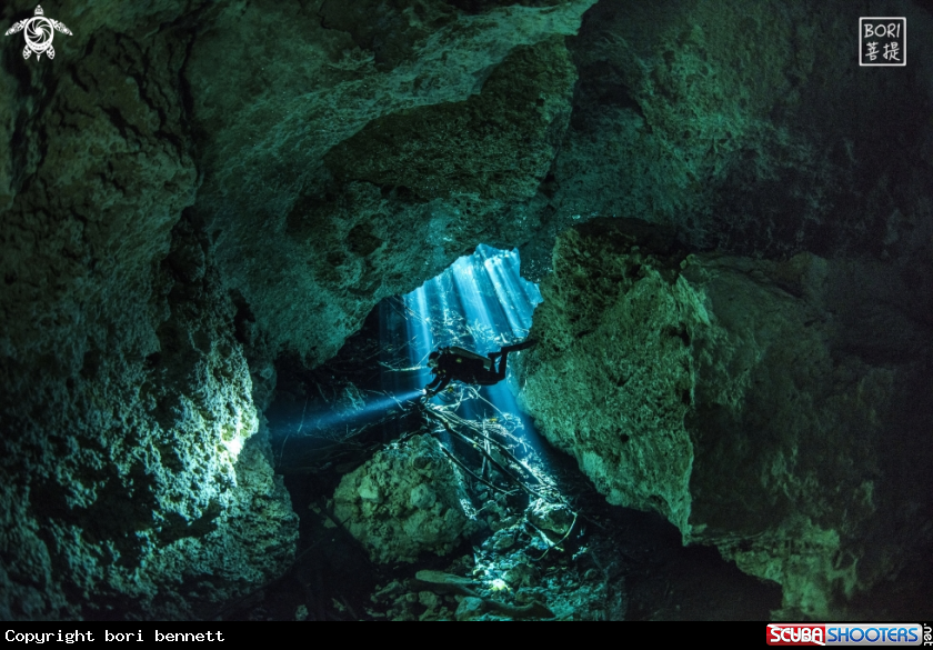 A A Diver 
