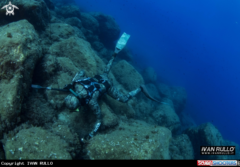 A freediver