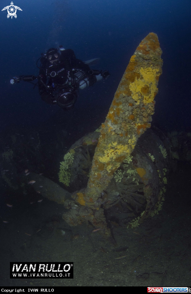 A BOMBARDIERE FIAT BR20
