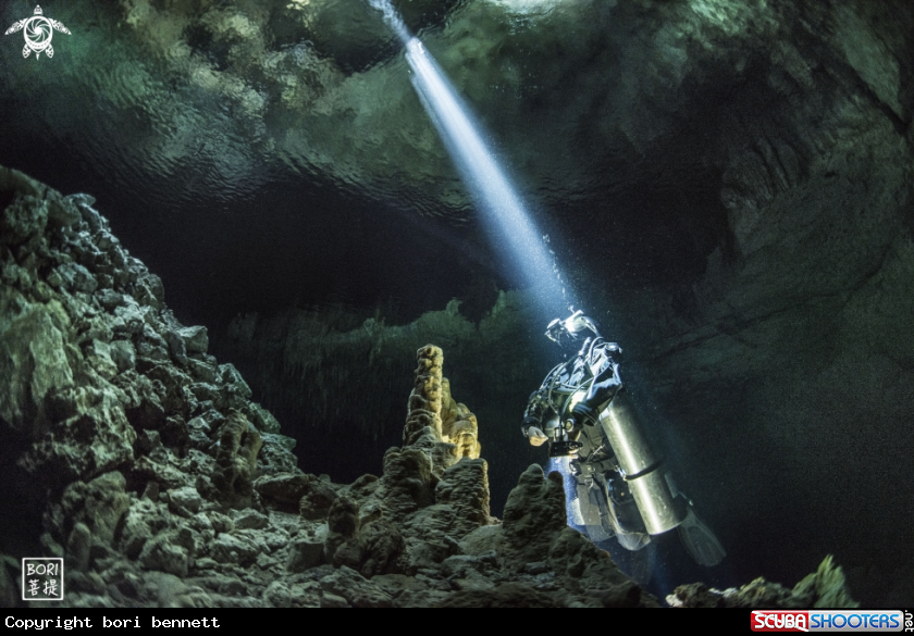 A S.M diver