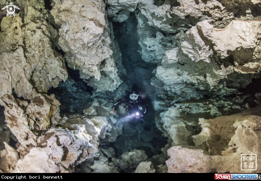 A cave