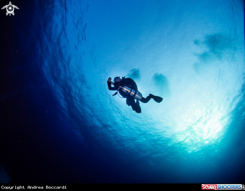 A Tec diver at last deco stop
