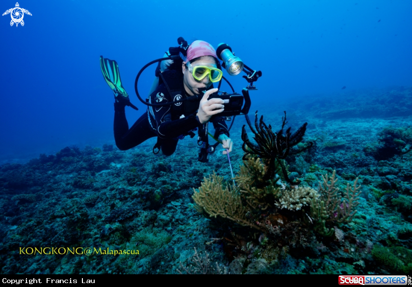 A Coral reef