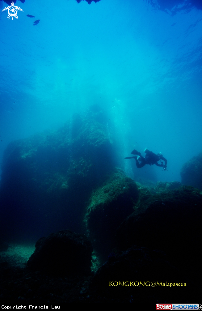 A Diver