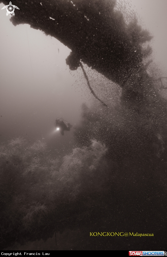 A Wreck