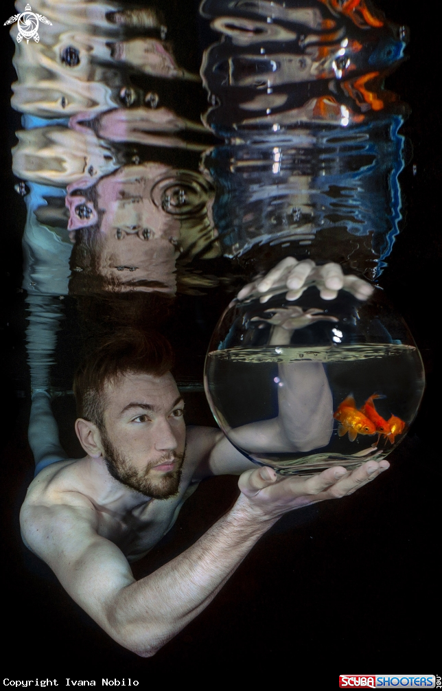 A Aquarium