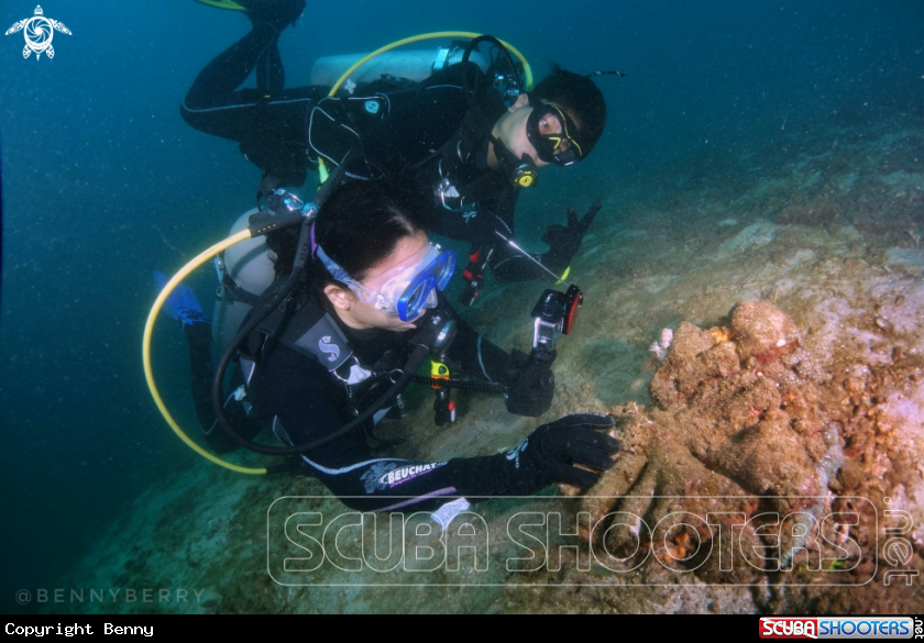 A Couple and Nudibranch