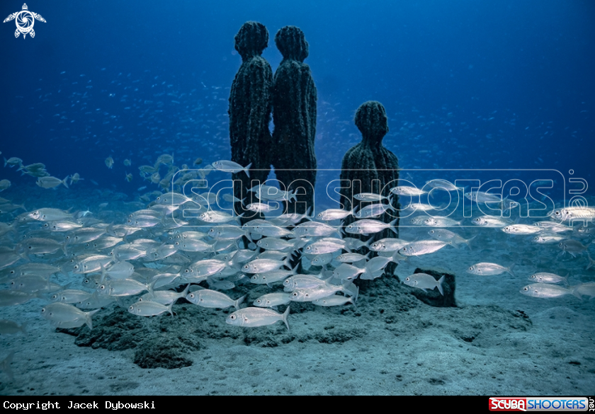 A Museo Atlantico
