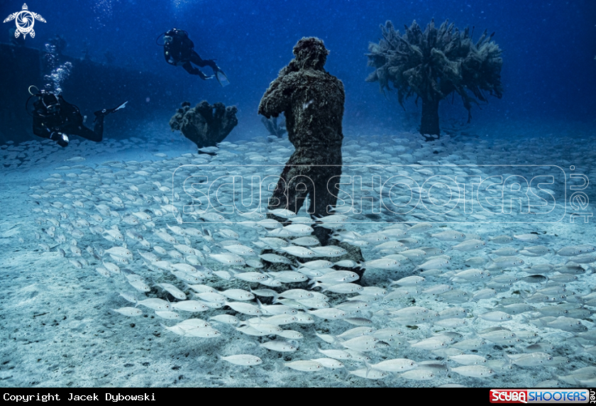 A Museo Atlantico