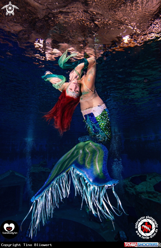A Seacam Day of underwater photography