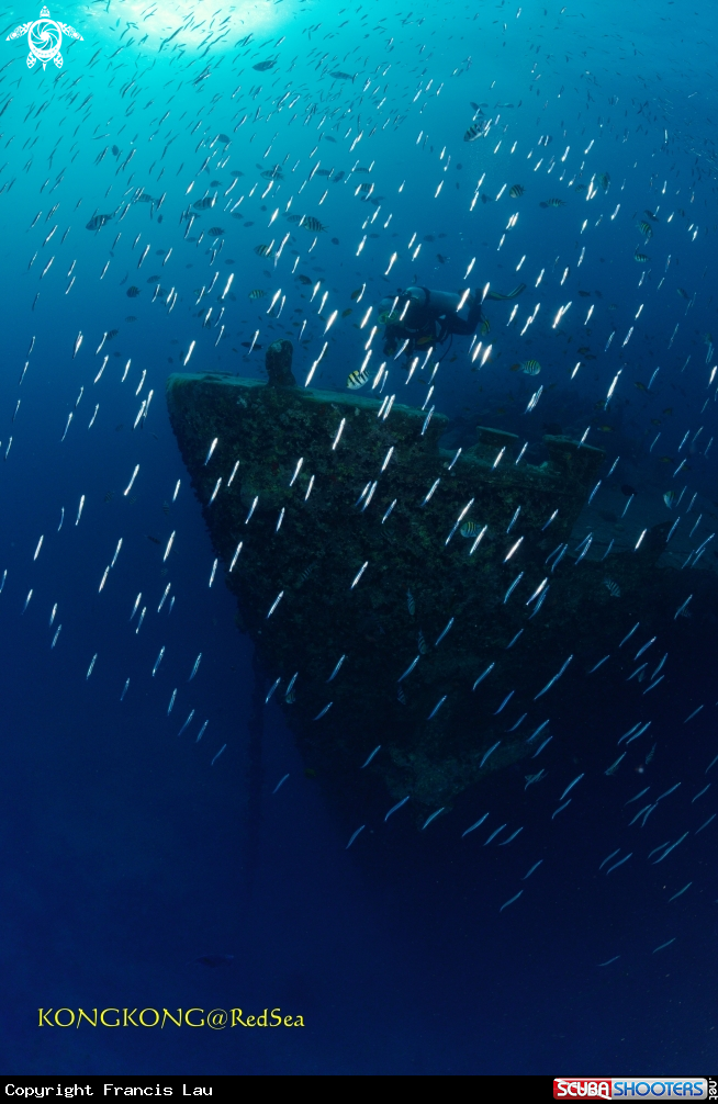 A SS Thistlegorm wreck
