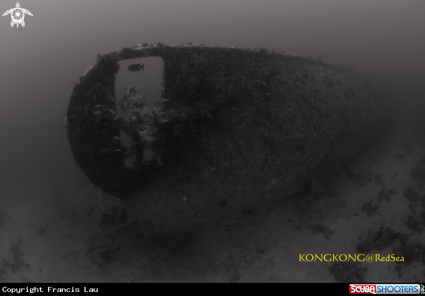 A Wreck of the Dunraven