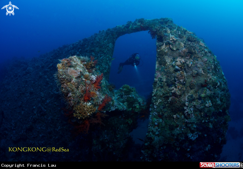 A Wreck of the Dunraven