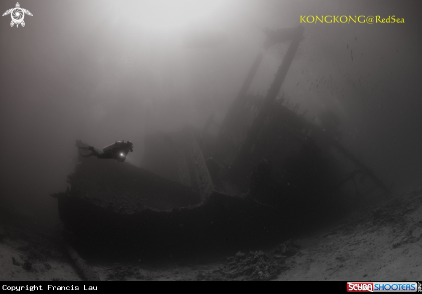A Ship Wreck