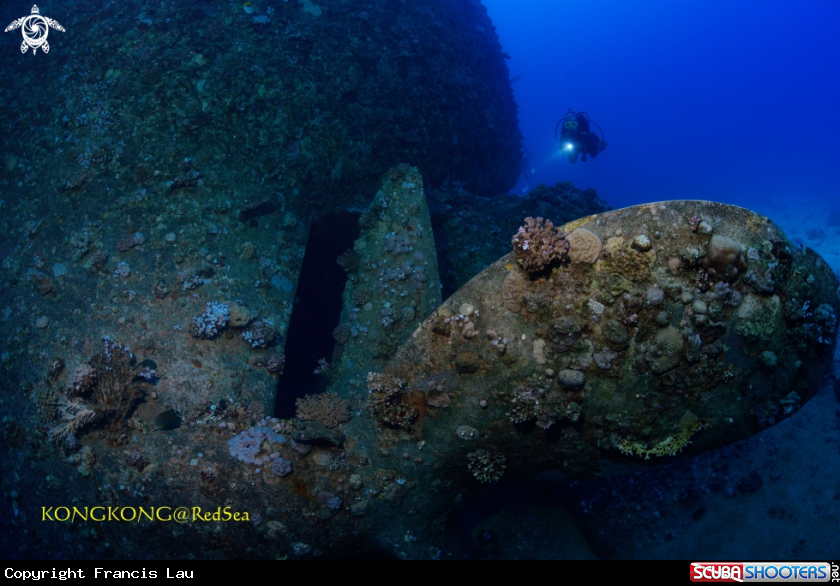 A Ship Wreck