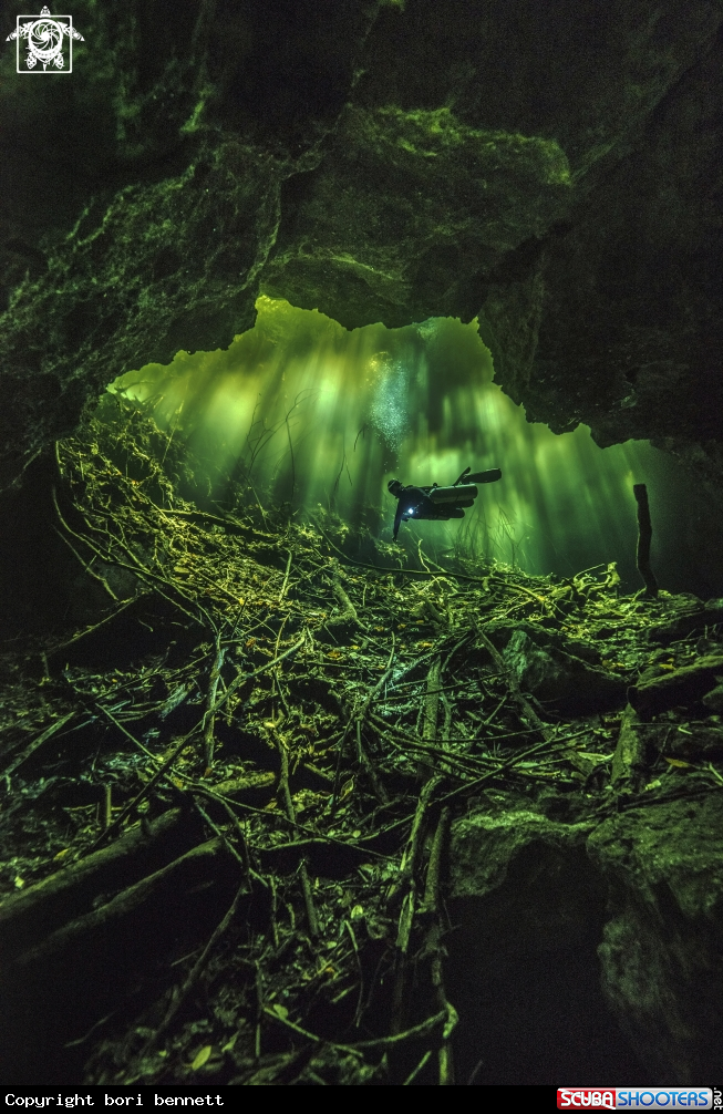 A SM Diver
