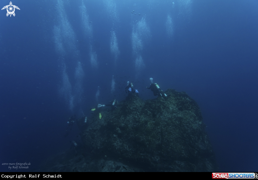 A Cocos Island
