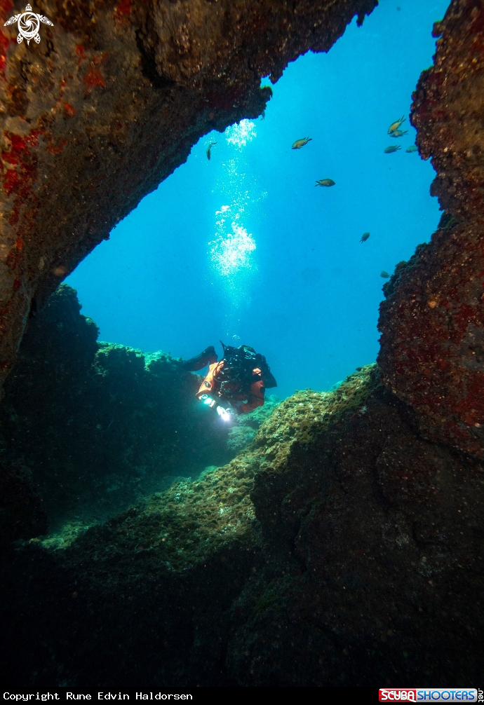A Diver