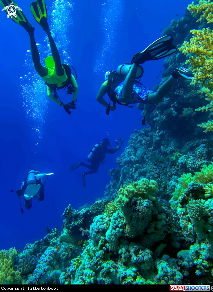 A scubadiving