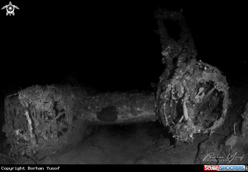 A World War II Plane Wreck 