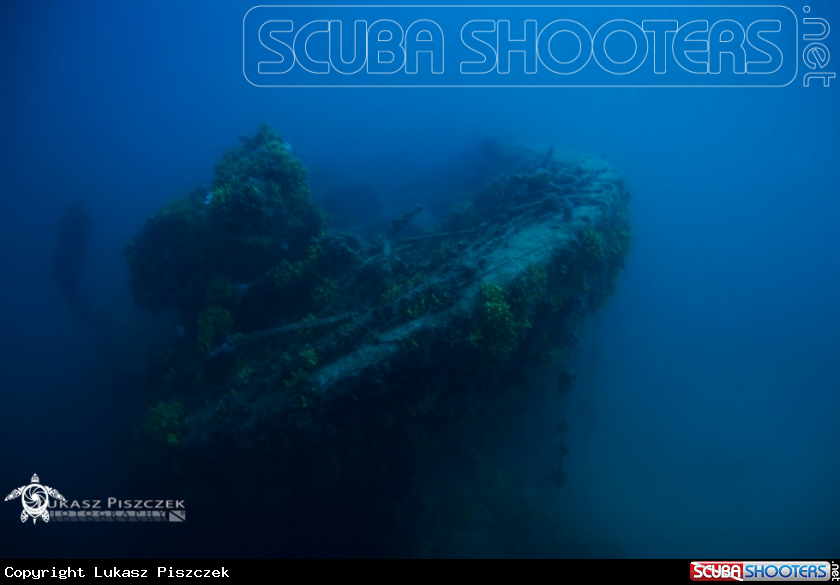 A underwater creature
