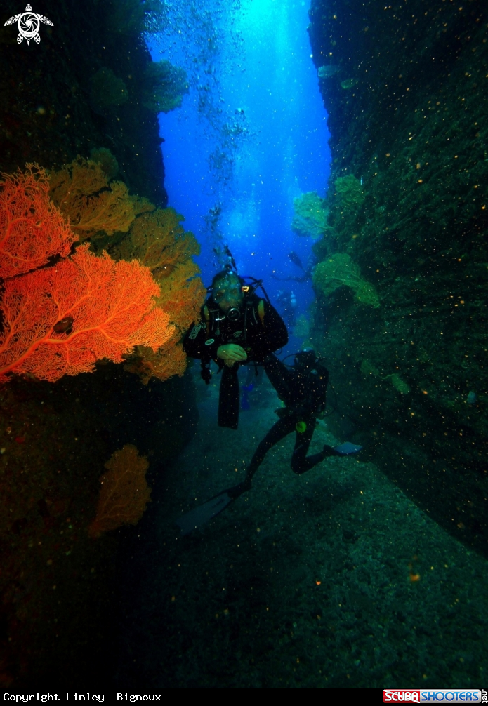 A Divers at Coin  de Mire 18m..