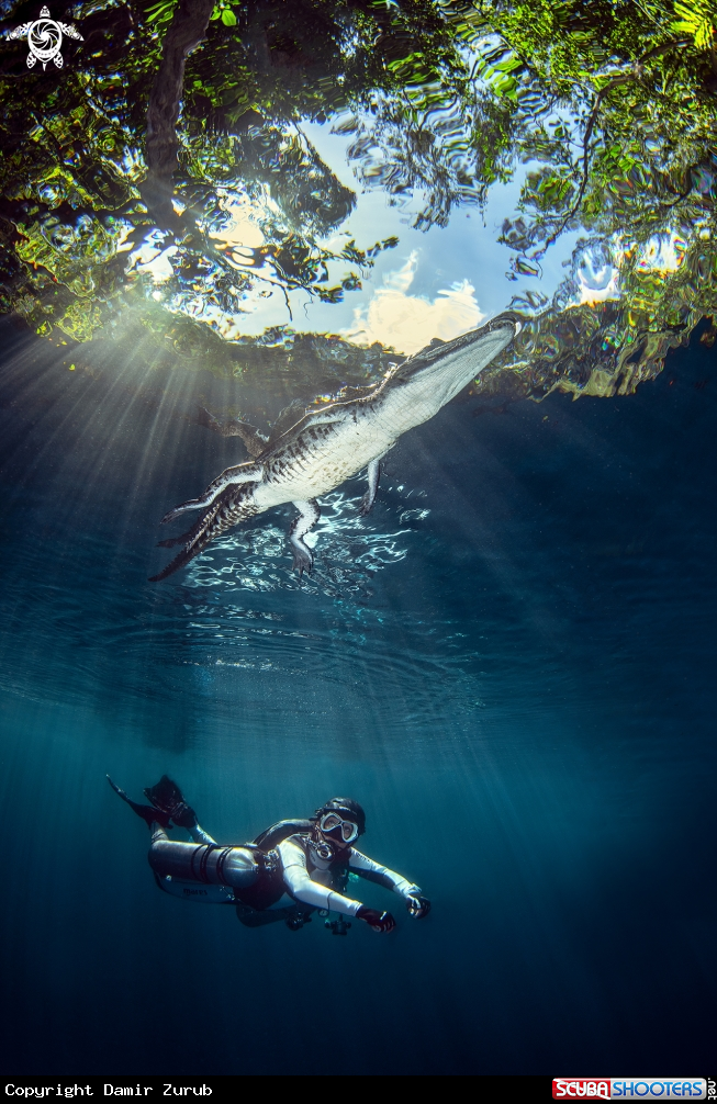 A Cenotes