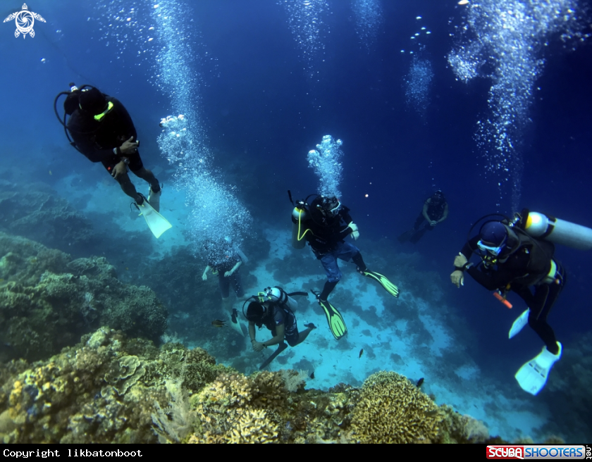 A scuba diving