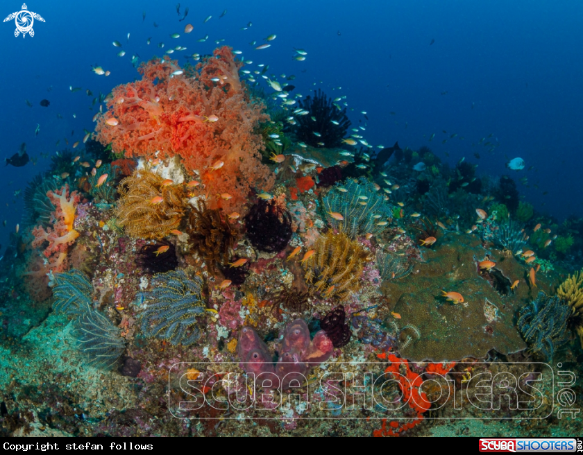 A Gili Mimpang