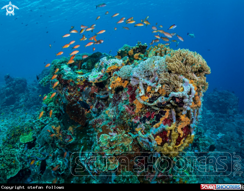 A North Nusa Penida