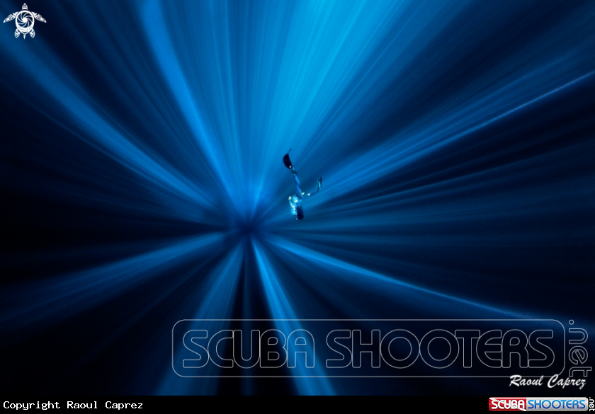 A Free diver