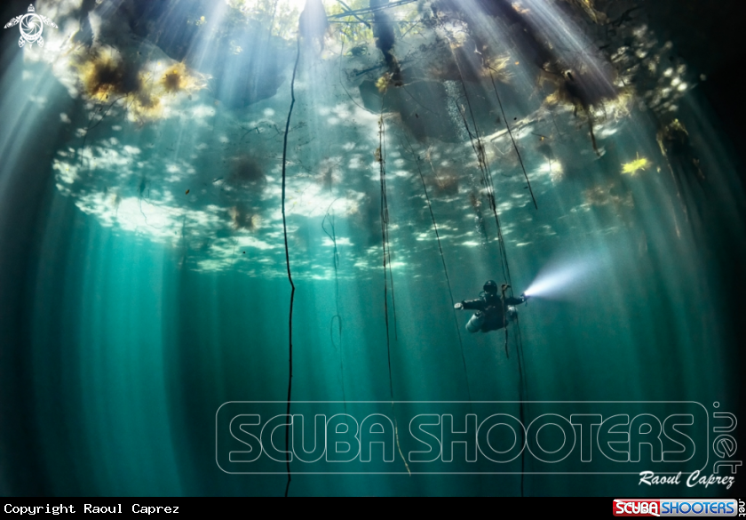 A Cenote