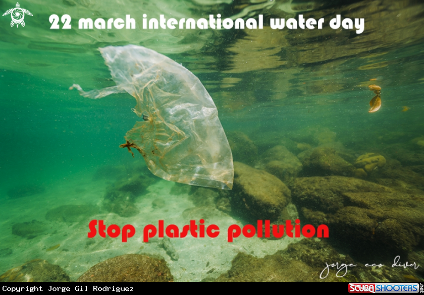 A Plastic Bag