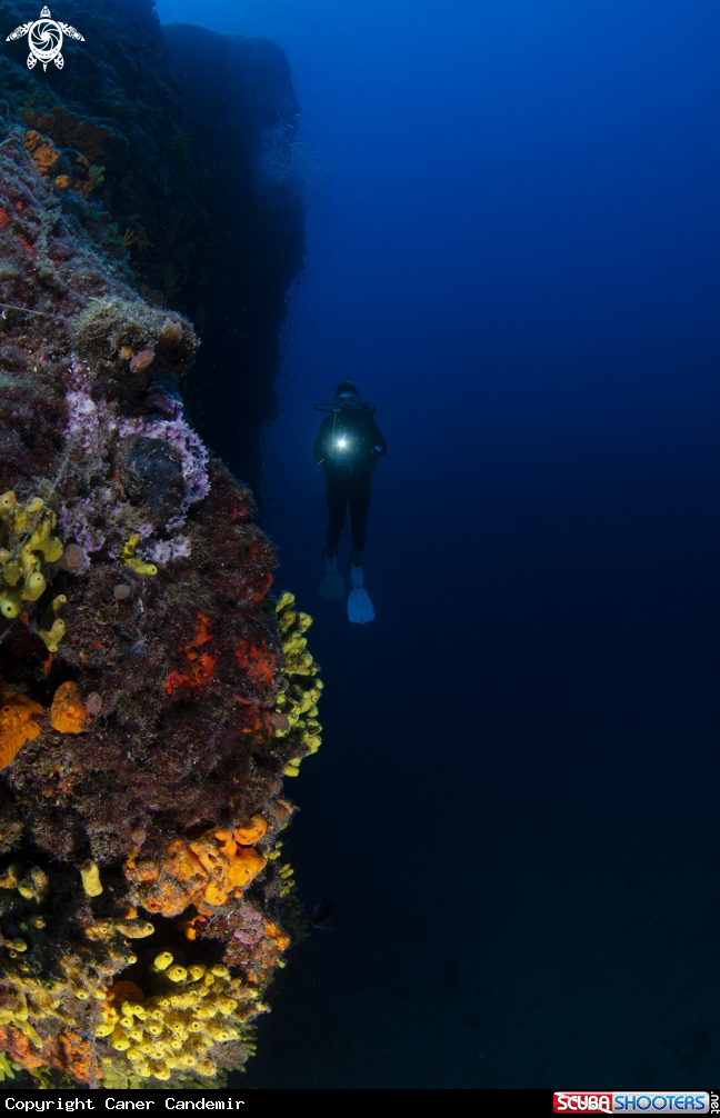 A Deep Blue