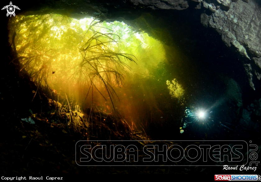 A Cenote TajmaHa