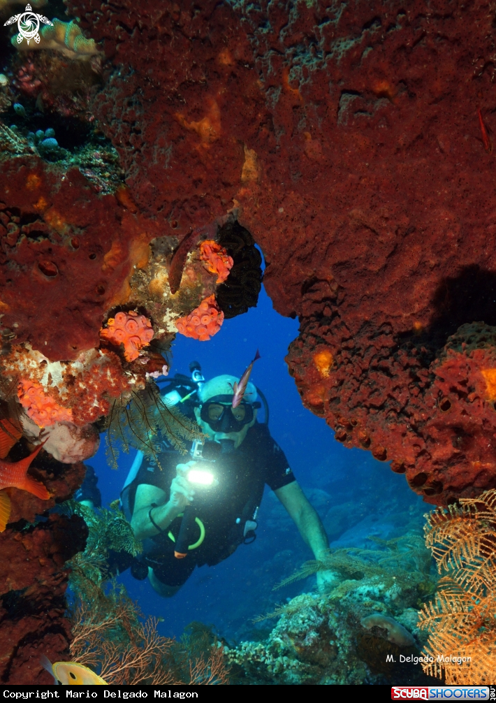 A Diver