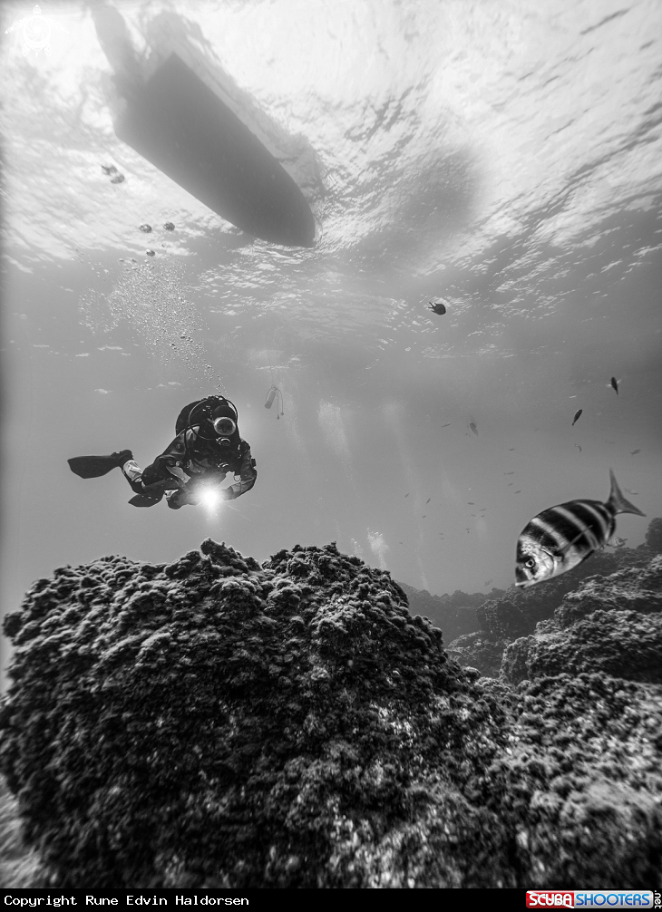 A Diver