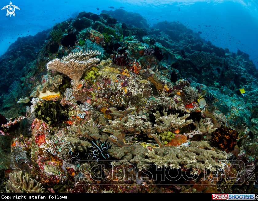 A Gili Mimpang