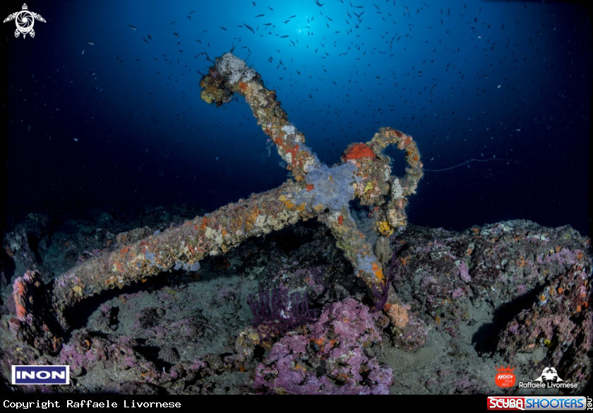 A Anchor