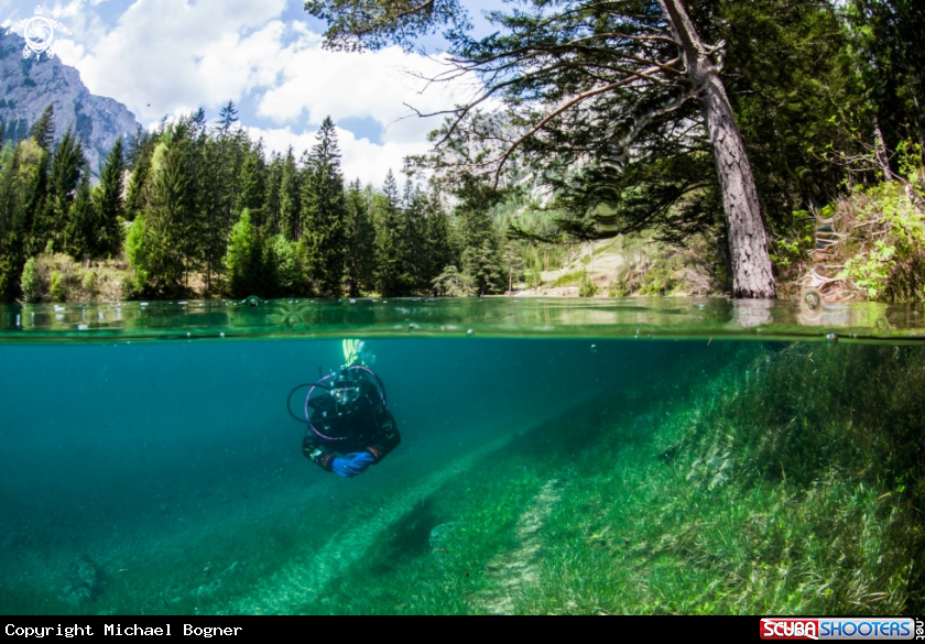 A underwater creature